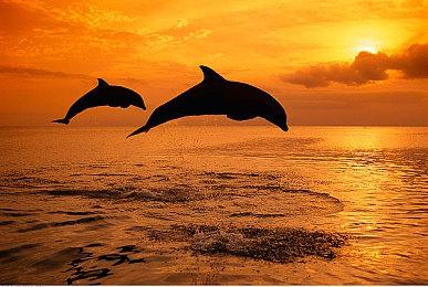 英伟达：《赛博朋克2077》DLSS 3.5+路径追踪比原生光栅化渲染更真实